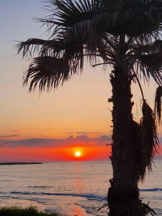 Gemuetliche Ferienwohnung In Torrevieja Ca100M Vom Strand Playa Del Cura Entfernt المظهر الخارجي الصورة