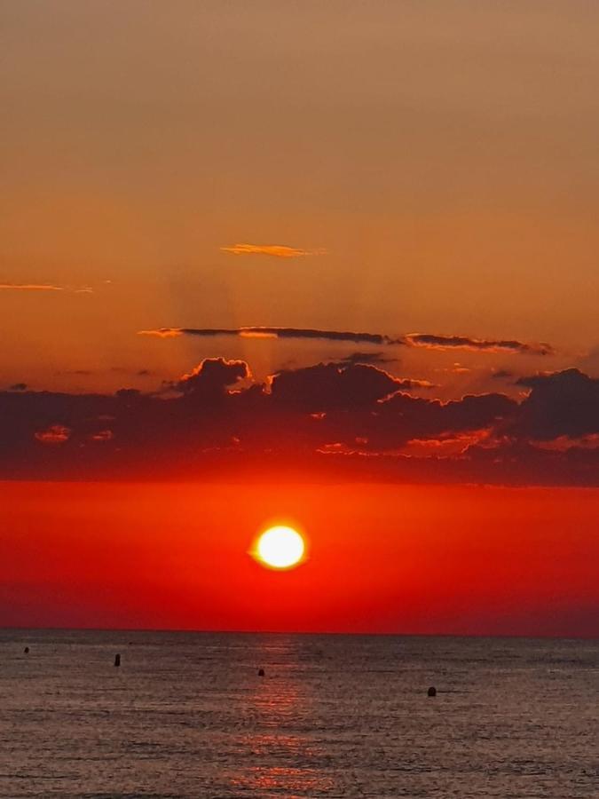 Gemuetliche Ferienwohnung In Torrevieja Ca100M Vom Strand Playa Del Cura Entfernt المظهر الخارجي الصورة